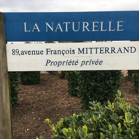 Vue Mer Sur La Cote D'Opale, Studio La Naturelle Pour 4 Personnes , Wimereux Luaran gambar